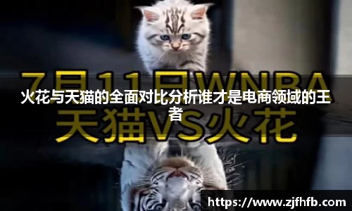 火花与天猫的全面对比分析谁才是电商领域的王者